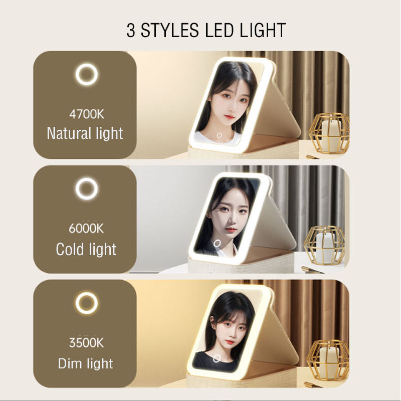 Travel LED Makeup Mirror Case